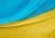 Ukrainian flag